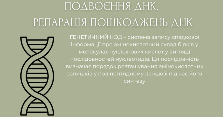 репарація