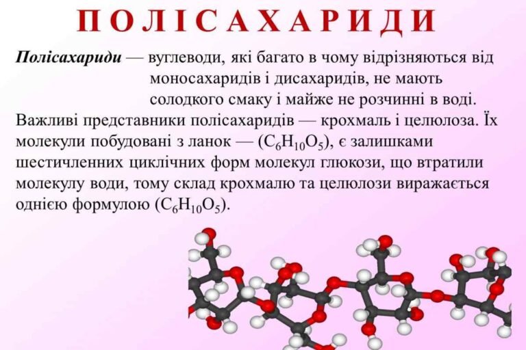 полісахариди