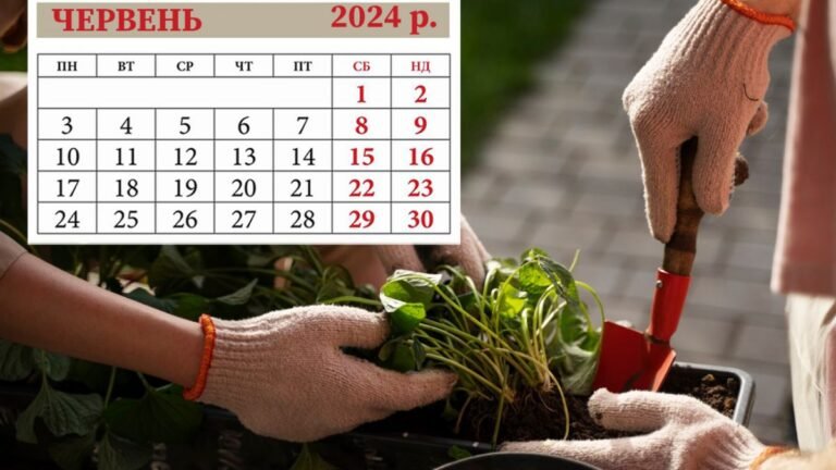 посівний календар на 2024 рік таблиця